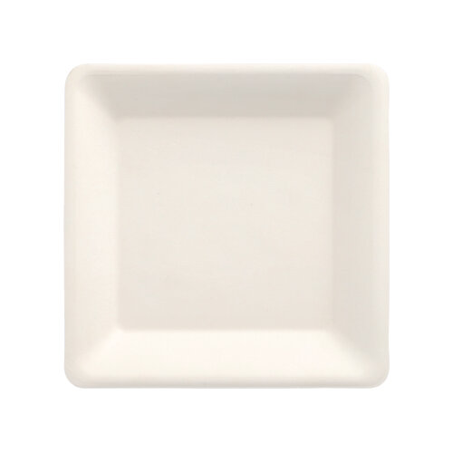 50 Teller, Zuckerrohr "pure" eckig 15,5 cm x 15,5 cm weiss