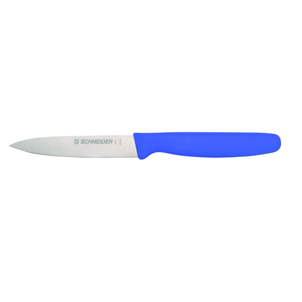 Gemüsemesser aus Edelstahl, 100 mm, blau
