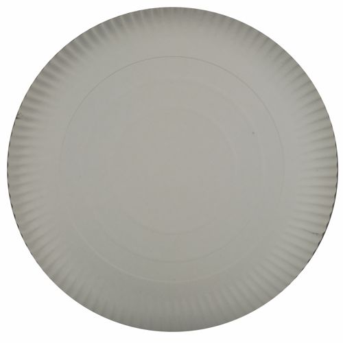 2 x 100 Teller, Pappe [ff] rund Ø 34 cm · 2 cm weiss