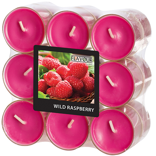 6 x 18 "GALA" Duftlichte Ø 38 mm · 24 mm weinrot - Wild Raspberry in Polycarbonathülle