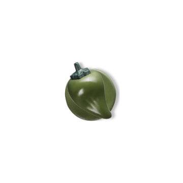 Paprika grün